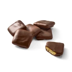 Milk Chocolate Covered Mini Grahams - 8.5oz - Favorite Day™